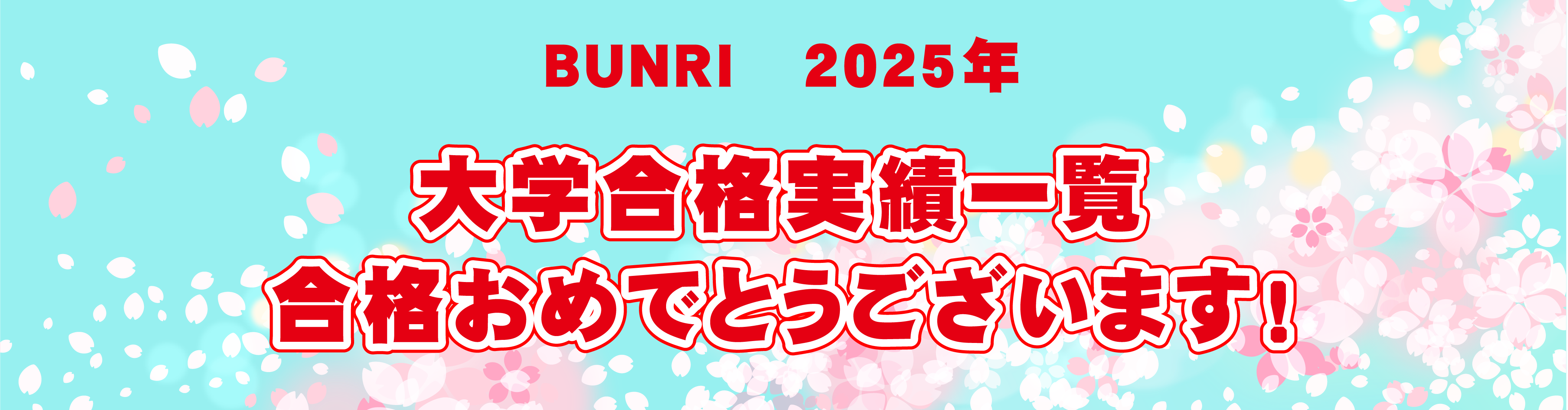 BUNRI2025年大学合格実績一覧
