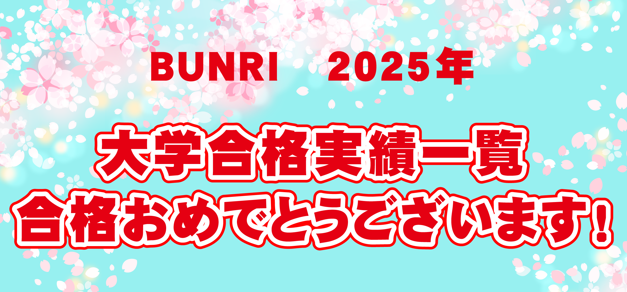 BUNRI2025年大学合格実績一覧